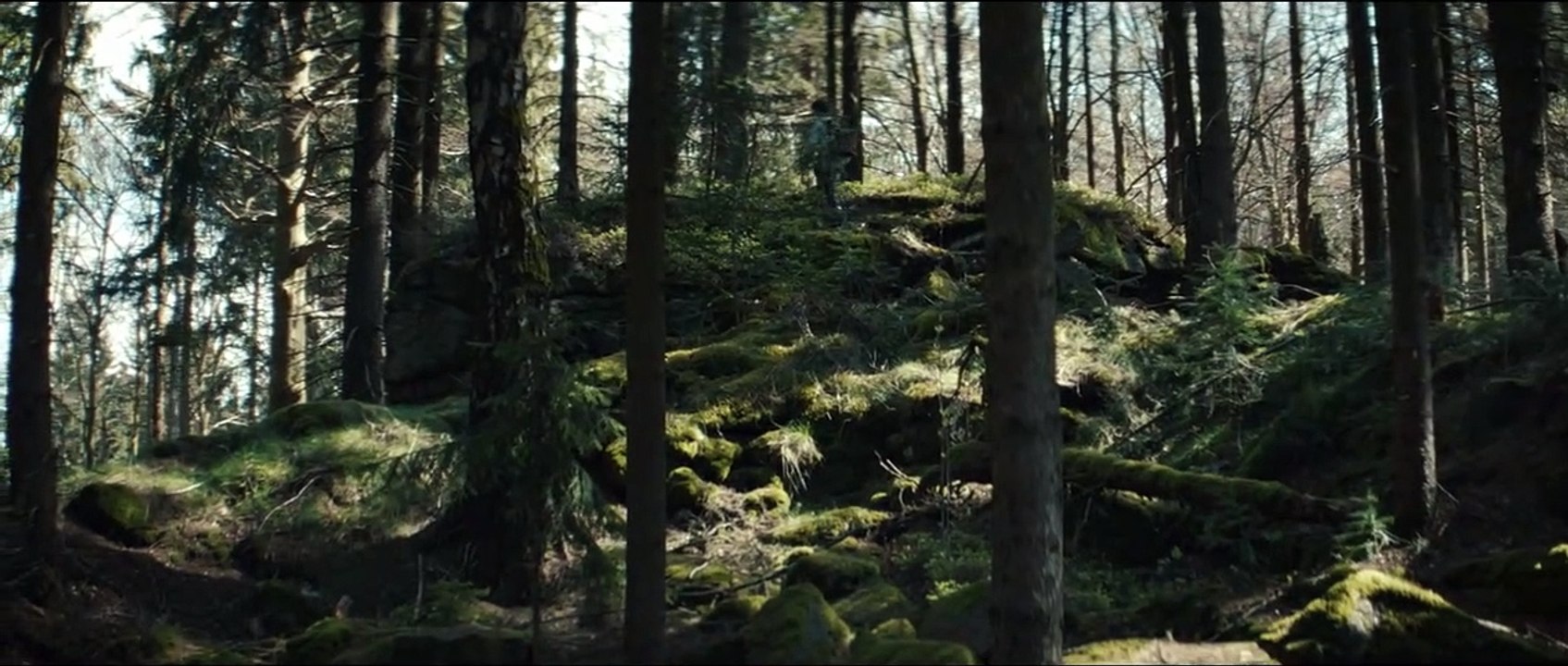 Schweigend steht der Wald Trailer DF