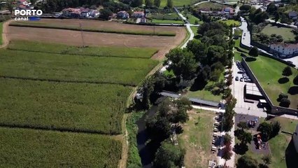 Corredor verde do Leça é um projeto ambiental que une quatro concelhos