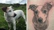 Après le décès du son chien, un homme se fait tatouer avec les cendres de l'animal pour lui rendre hommage