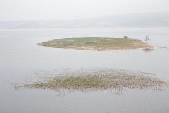 Ordu haber... Bolu Gölköy Barajı'ndaki balık ölümlerine ilişkin adli soruşturma başlatıldı