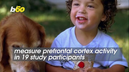 Petting a Dog is Good for You. Go Do It Right Now!