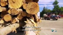 American Loggers - Se2 - Ep01 - The Big Push HD Watch HD Deutsch