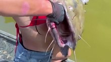 Catfish Noodling- Hannah Catches 3 HUGE Catfish in One Day!