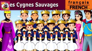 Les Cygnes Sauvages | Wild Swans in French | Histoire Pour Les Petit