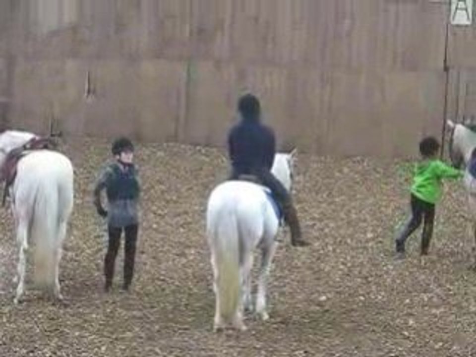 descente de cheval spéciale^^