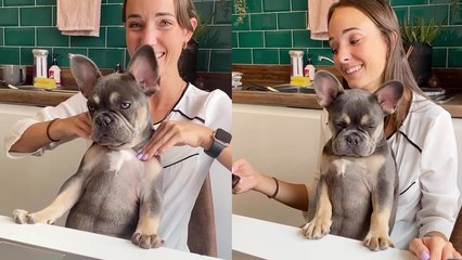 Woman treats dog with soothing shoulder massage on his 4-month birthday