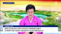 北, 남한 비행장 찍어가며 핵무력 과시…김정은 참관