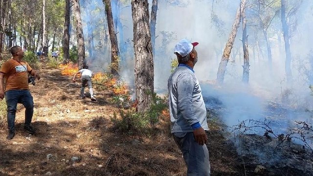 Antalya'da orman yangını kontrol altına alındı