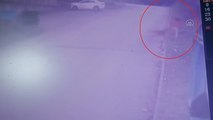 Sahipsiz köpeklerin sokakta yürüyen kız çocuğuna saldırması