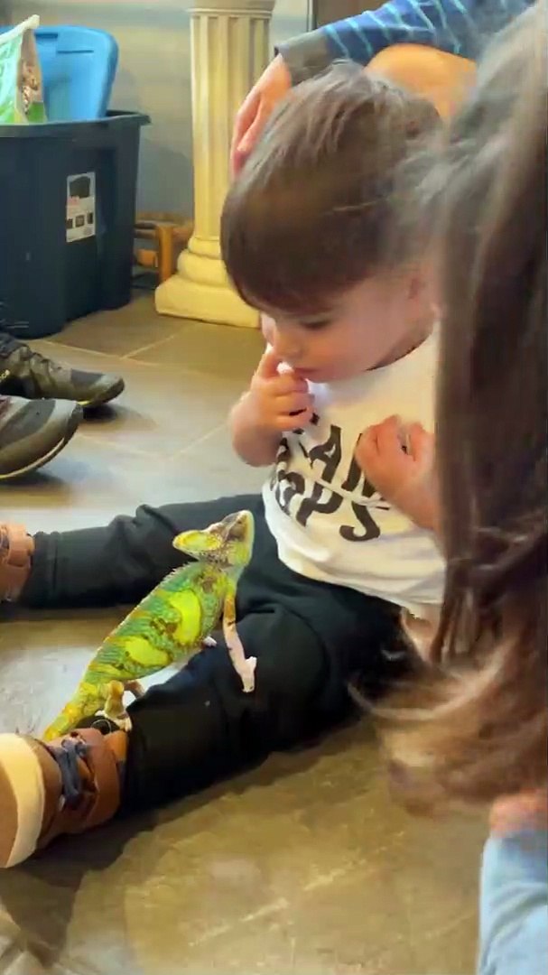 ⁣Toddler gets a kiss from his pet chameleon