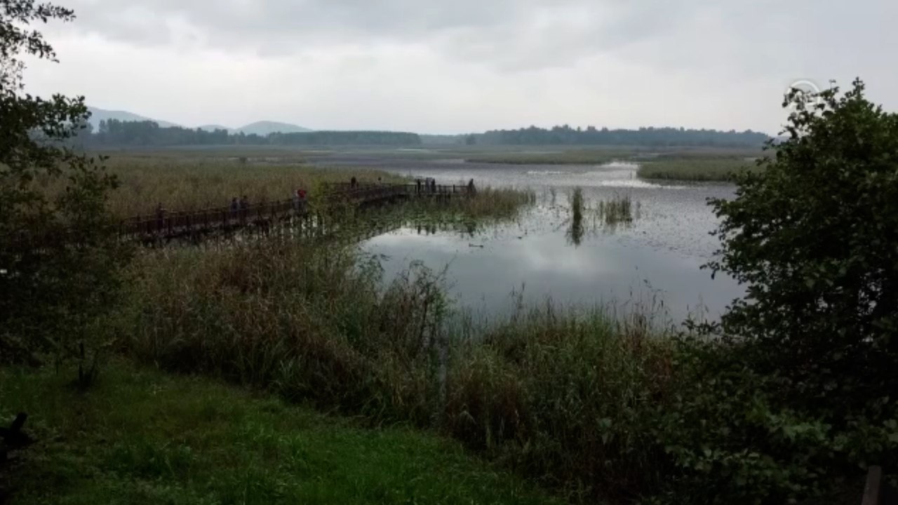 Düzce'nin doğal güzellikleri sonbaharın renklerine büründü