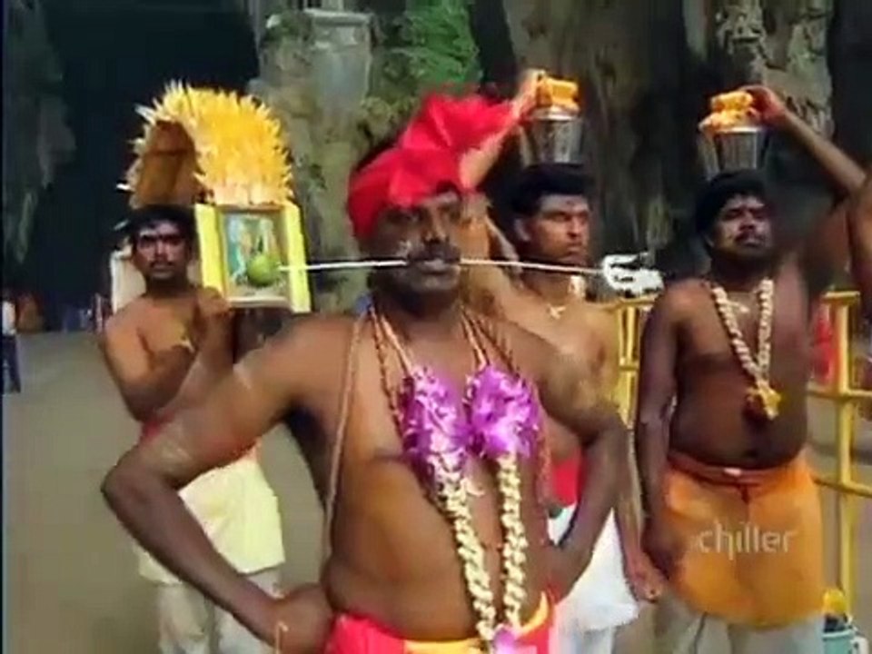 Ripley's Believe It or Not! - Se1 - Ep08 HD Watch HD Deutsch