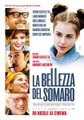 La bellezza del somaro