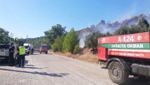 Son dakika haberi... Kumluca'daki orman yangını kontrol altına alındı