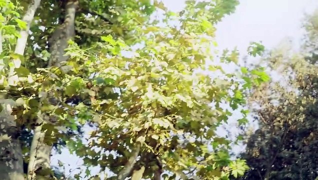 Plus belle la vie : [Indiscrétion] – Xavier retrouvé nu dans un parc par la police...