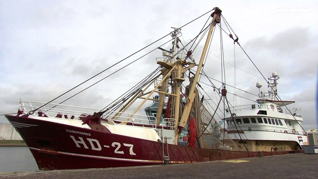 Кризис рыболовства в Нидерландах