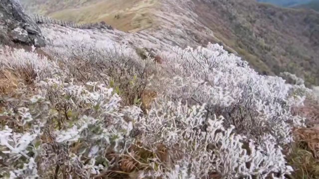 전북 무주 덕유산에 올가을 첫 '상고대' 맺혀 / YTN