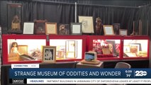 Inside look at George the Giant's Strange Museum of Oddities and Wonder