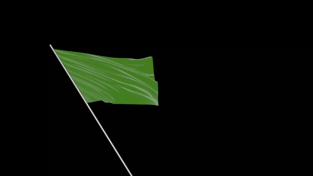 Don't forget to look for these 3 green flags when dating! (S)