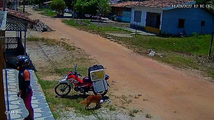 Delivery Driver Confused By Disappearing Food