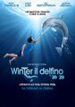 L'incredibile storia di Winter il delfino