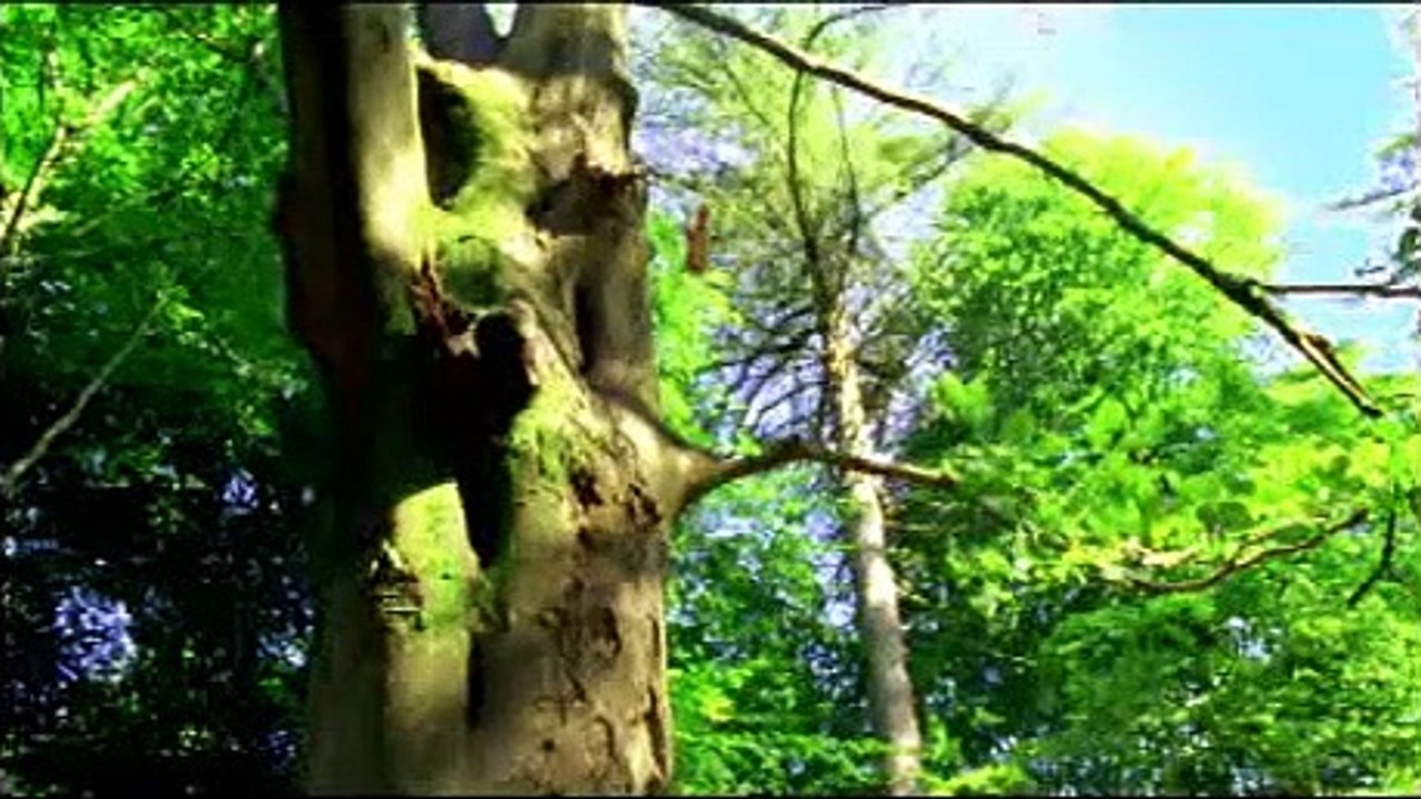 Earth - La nostra terra