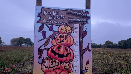 Halloween: A look around Dunham’s Pumpkin Patch