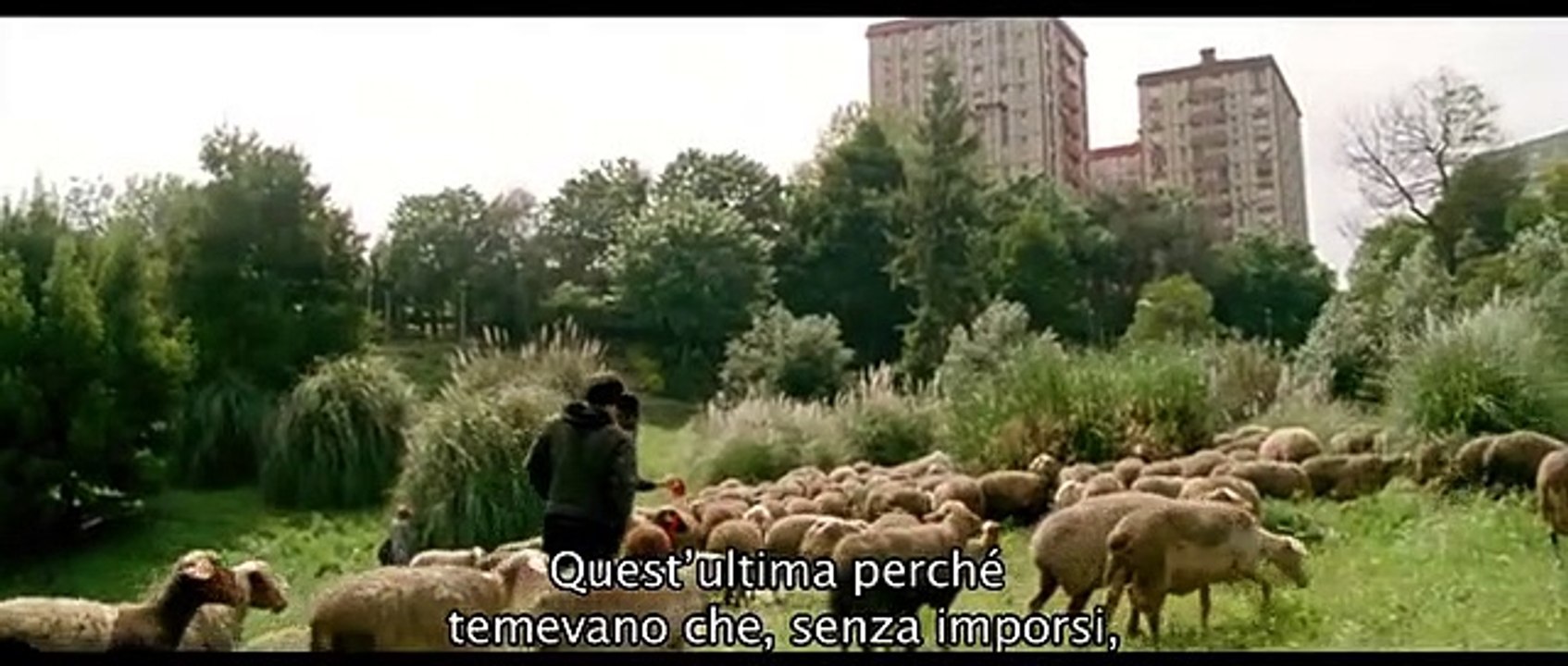 Le mille e una notte - Arabian Nights: Volume 2 - Desolato