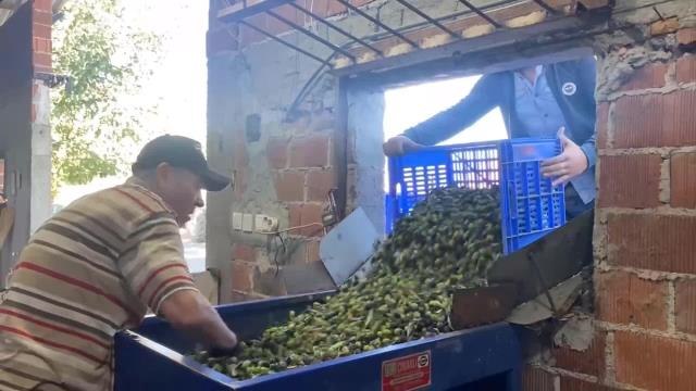 Ahmet Vehbi Bakırlıoğlu: Tariş Fiyat Açıklamadığı İçin Üretici Tüccarın İnsafına Kalıyor