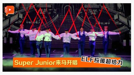 Super Junior来马开唱 老少年魅力燃炸全场
