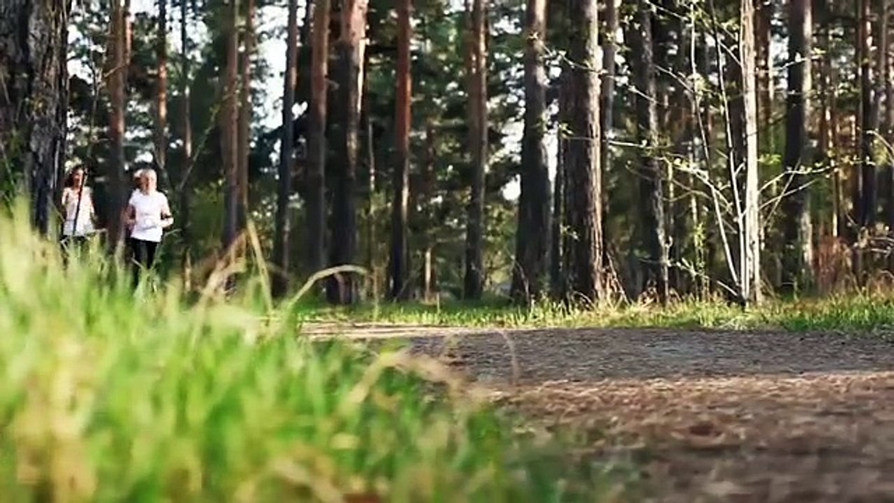 A LOUER F3 sur les hauts de Punavai