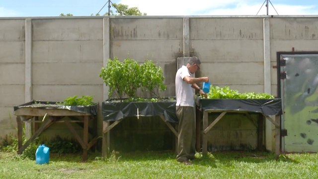 bd-programa-capsulas-de-oro-100922