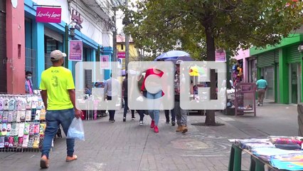 Inversión extranjera directa podría superar los L700 millones de 2021