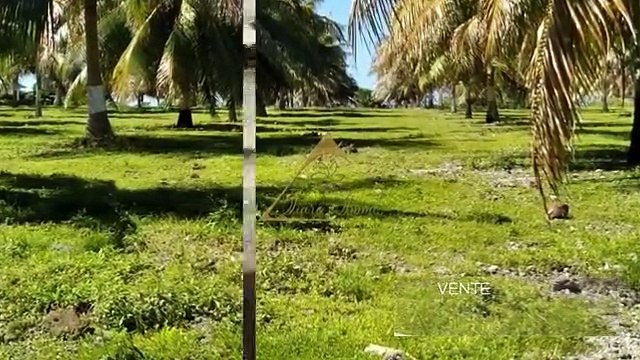 Terrain à acheter 25000000 F à Maupiti avec TIARE IMMO