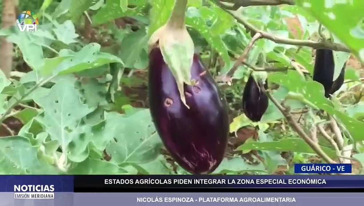 #EnVivo  | Noticias al mediodía - Lunes 10 de Octubre - Venezuela - VPItv