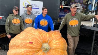 2,554-Pound Pumpkin Smashes New York And National Records