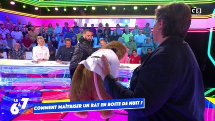 La masterclass de Cyril Hanouna pour maîtriser un rat en cas d'attaque !