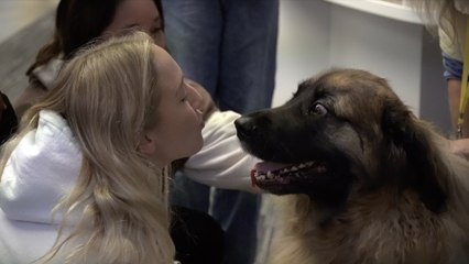 Four-legged fury friends visit Medway on World Mental Health Day