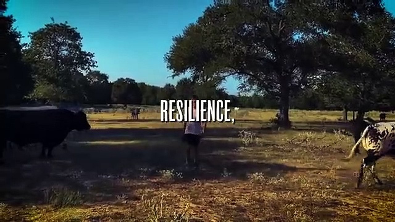 12 Stoic Lessons That Will Immediately Change Your Life – Ryan Holiday