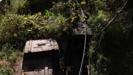 Infrastruktur-Experte warnt: "Wir haben immer noch ein Kompetenzdefizit"