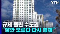 규제지역 해제된 수도권 분위기는?...