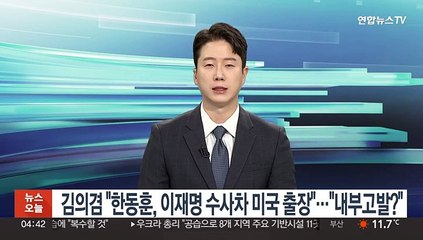 김의겸 "한동훈, 이재명 수사차 미국 출장"…"내부고발?"
