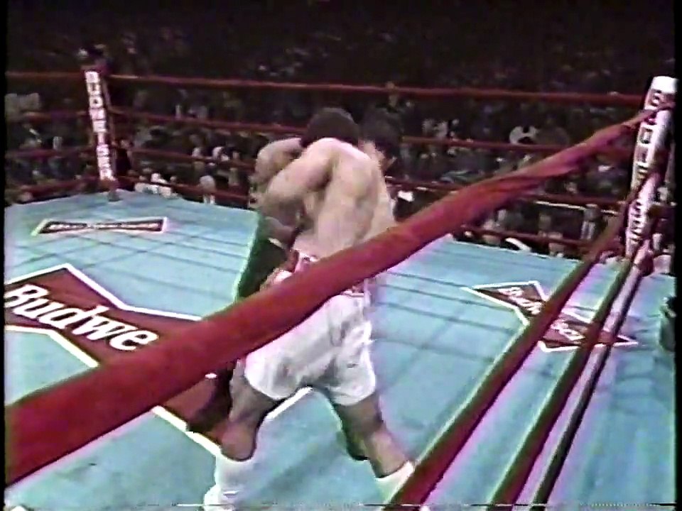 Angel Torres vs Noel Rodriguez (12-01-1993) Full Fight