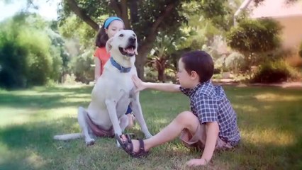 These Are 10 Best Dog Breeds for Kids