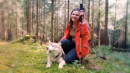 THE 10 BEST DOG BREEDS FOR HIKING