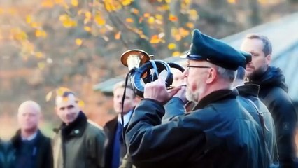 These Are 10 Best Hunting Dog Breeds