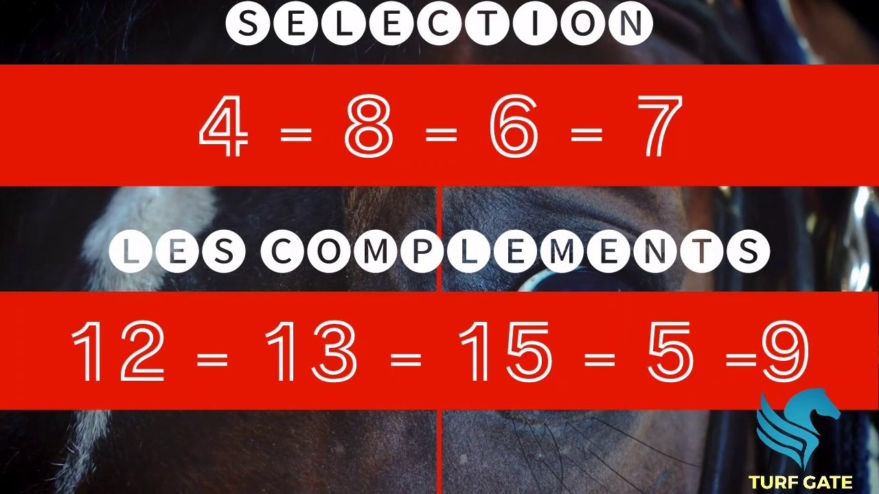 Pronostiques Pro Tiercé Quarté Quinté | ︎︎︎︎︎︎+ | SAINT-CLOUD  ︎13 | Prix DU VAL D'OR | Mardi 11/10/2022 |