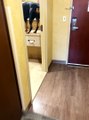 Dog Checks Himself in the Mirror