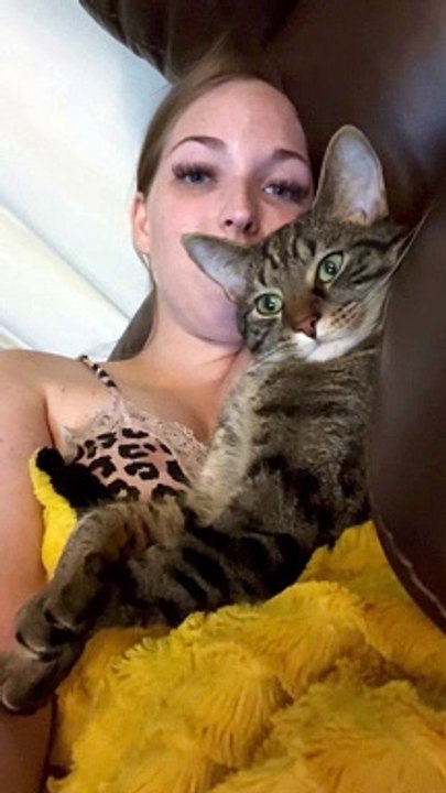 Cuddling Cat Puts Its Paws Up