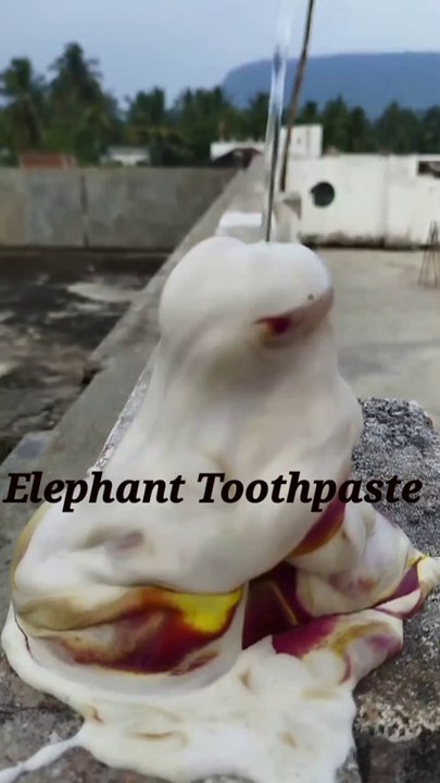 world most beautiful elephant toothpaste.